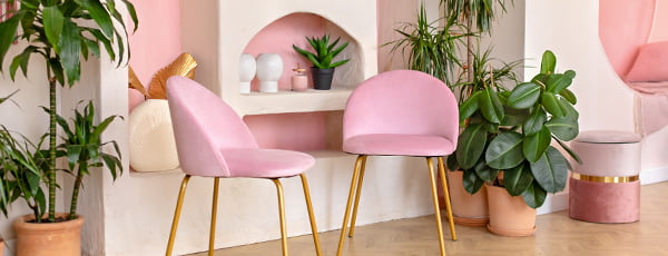 ¿Cómo organizar una jungla doméstica? Tendencias para 2025.