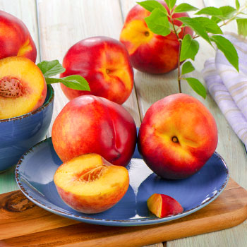 Nectarina