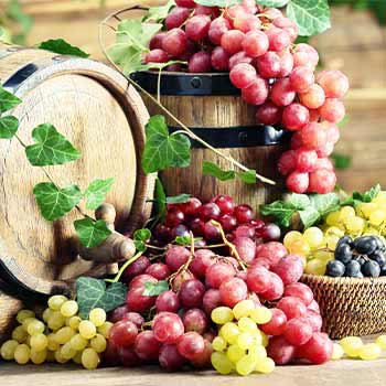 Uvas de vino