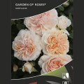 Rosa floribunda Garden of Roses®, C5 interface.art photo 2 Rosa floribunda Garden of Roses®, C5 interface.image 2 interface.art 5822