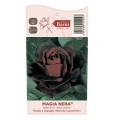 Rosa de flor grande Magia Nera®, C5 interface.image 4 interface.art 5533