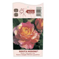 Rosa de flor grande Rosita Missoni®, C5 interface.image 4 interface.art 6163