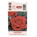 Rosa de flor grande Valentino®, C5 interface.art photo 3 Rosa de flor grande Valentino®, C5 interface.image 3 interface.art 5539