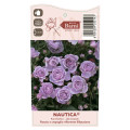 Rosa floribunda Nautica®, C5 interface.art photo 4 Rosa floribunda Nautica®, C5 interface.image 4 interface.art 6150
