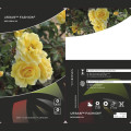 Rosa floribunda Urban ™ Fashion ®, С3 interface.art photo 2 Rosa floribunda Urban ™ Fashion ®, С3 interface.image 2 interface.art 5008