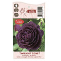 Rosa de flor grande Twilight Zone®, C5 interface.image 3 interface.art 5537