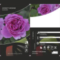 Rosa floribunda Adore Aroma®, С3 interface.image 3 interface.art 2065