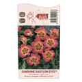 Rosa floribunda Sunshine Babylon Eyes®, C5 interface.image 3 interface.art 5517
