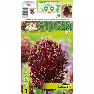 Allium Red Mohican interface.image 5