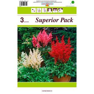 Astilbe Mixed interface.image 1