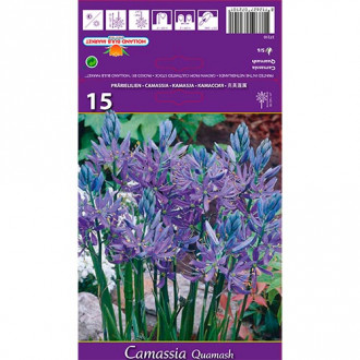 Camassia Quamash interface.image 1