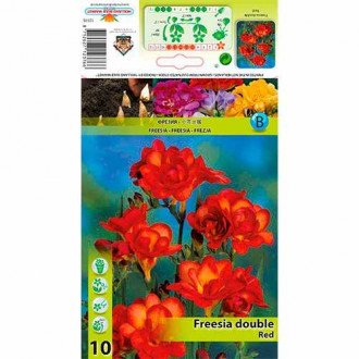 Freesia Doble Rojo interface.image 4