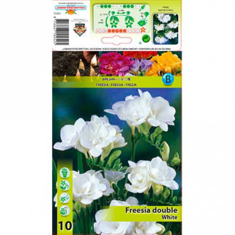 Freesia Doble Blanca interface.image 6