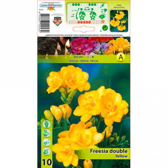 Freesia Doble Amarilla interface.image 6