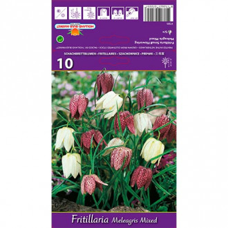 Fritillaria Meleagris Mixta interface.image 1