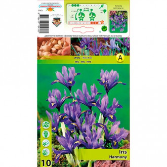 Iris reticulé Harmony interface.image 4