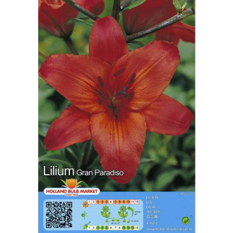 Lilium Gran Paradiso interface.image 2