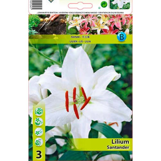 Lilium Santander interface.image 2