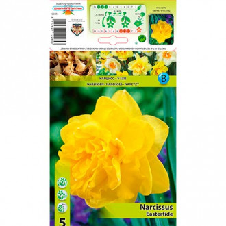 Narcisse Pascua interface.image 1