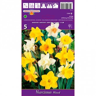 Narciso Mixto interface.image 6