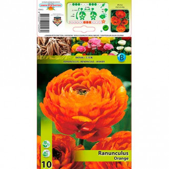 Ranunculus (Ranúnculo persa) Naranja interface.image 5