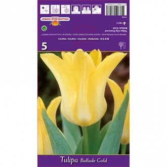 Tulipe Ballade Gold interface.image 2