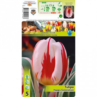 Tulipe Happy Generation interface.image 6