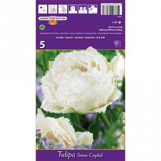 Tulipe Snow Crystal interface.image 4