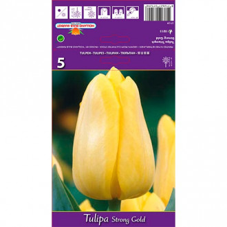 Tulipe Strong Gold interface.image 1