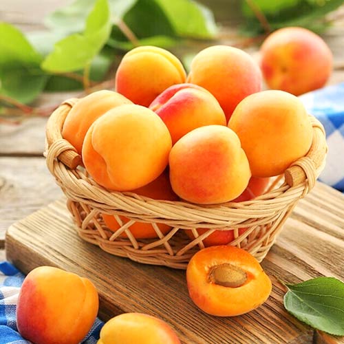 Albaricoque Diamante, С2 interface.art photo 1 Albaricoque Diamante, С2 interface.image 1 interface.art 4277