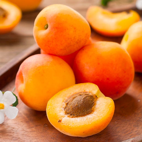 Albaricoquero Mar del Sur interface.art photo 1 Albaricoquero Mar del Sur interface.image 1 interface.art 1626