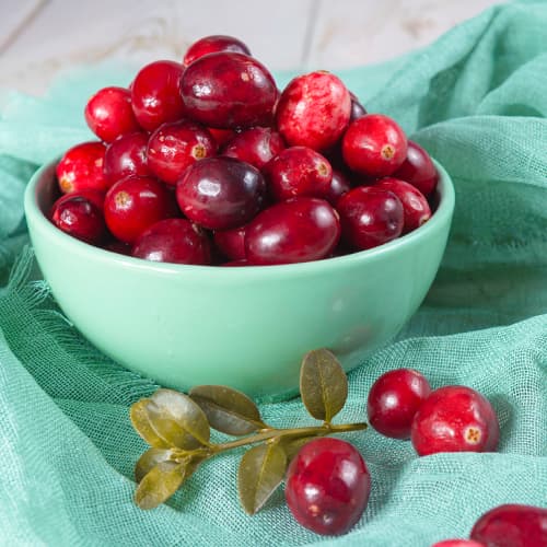 Arándano Piligrim, P9 interface.art photo 1 Arándano Piligrim, P9 interface.image 1 interface.art 9311