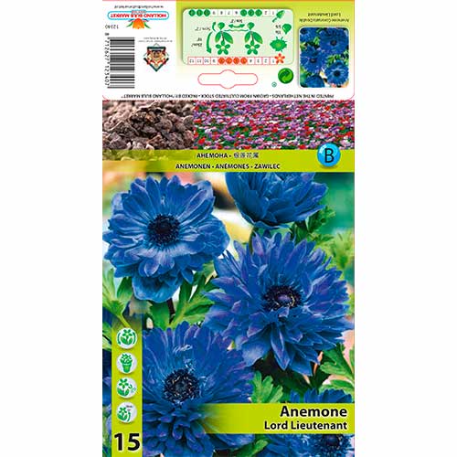 Anémona Lord Lieutenant interface.art photo 1 Anémona Lord Lieutenant interface.image 1 interface.art 76165