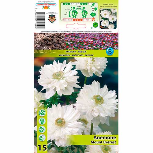 Anémona Monte Everest interface.image 1 interface.art 76166