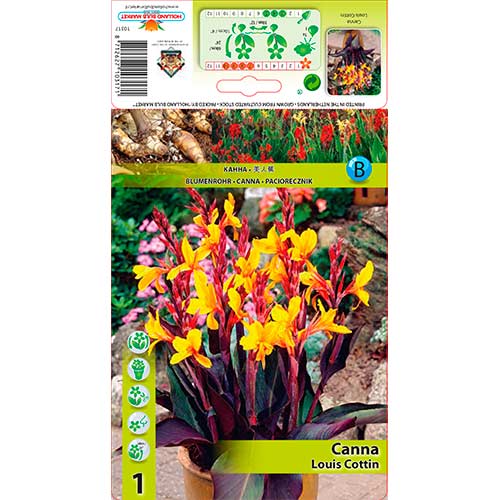 Caña Louis Cottin interface.art photo 1 Caña Louis Cottin interface.image 1 interface.art 76196