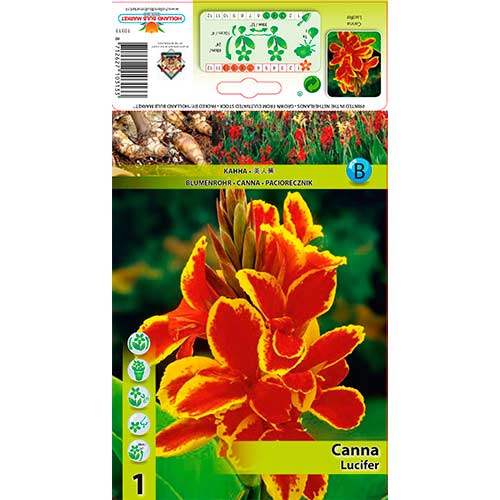 Caña Lucifer interface.art photo 1 Caña Lucifer interface.image 1 interface.art 76197