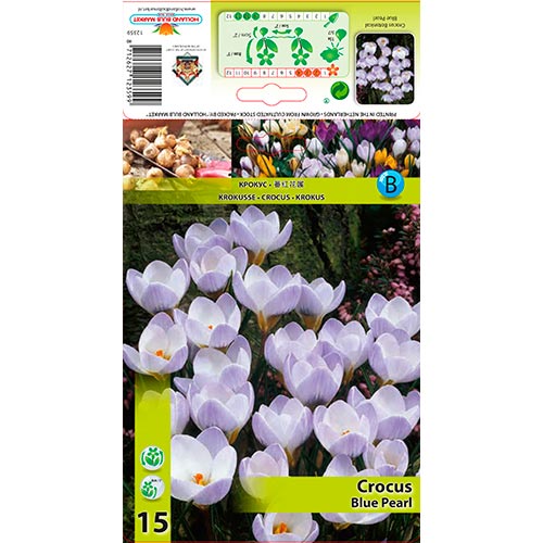 Azafrán Azul Perla interface.art photo 1 Azafrán Azul Perla interface.image 1 interface.art 67327