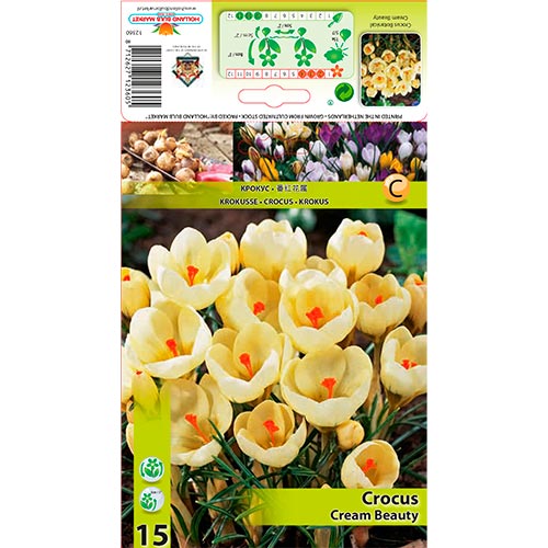 Azafrán Crema Belleza interface.art photo 1 Azafrán Crema Belleza interface.image 1 interface.art 67328