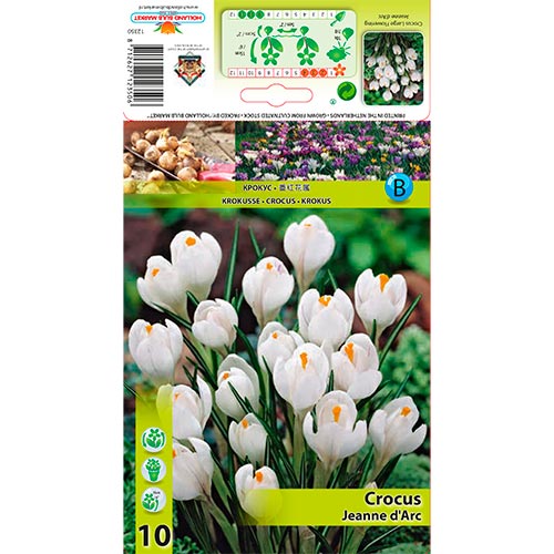 Azafrán Jeanne d'Arc interface.image 1 interface.art 67332