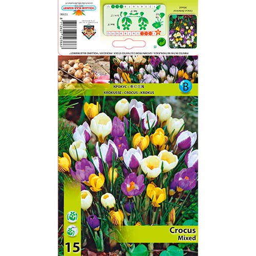 Crocus mixto interface.art photo 1 Crocus mixto interface.image 1 interface.art 67333