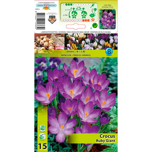 Azafrán Rubí gigante interface.image 1 interface.art 67338