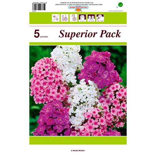 Flox, mixed interface.image 1 interface.art 76491