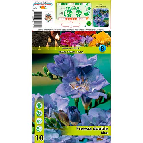 Freesia Doble Azul interface.image 1 interface.art 76234