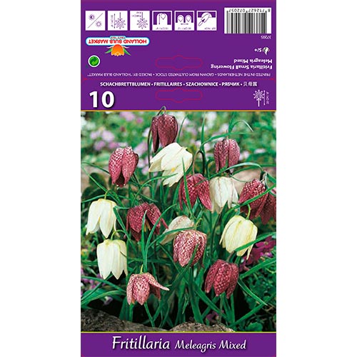 Fritillaria Meleagris Mixta interface.image 1 interface.art 68102