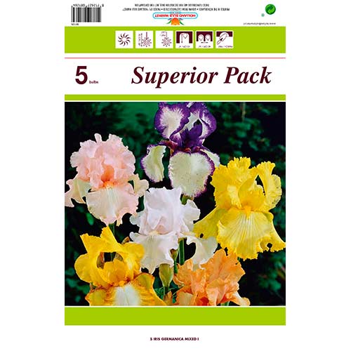 Iris Germánica Mixed interface.art photo 1 Iris Germánica Mixed interface.image 1 interface.art 76464