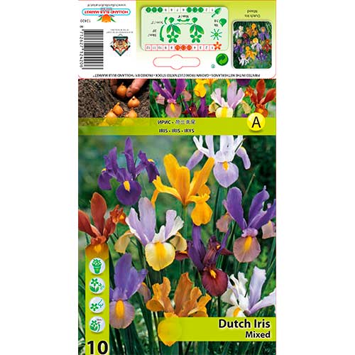 Iris holandés, mixed interface.image 1 interface.art 76229