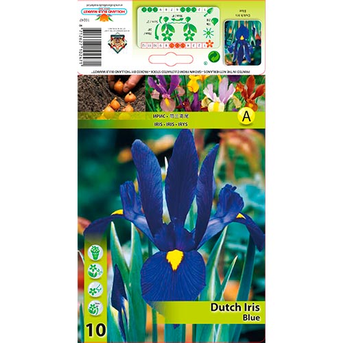 Iris Hollandais Azul interface.image 1 interface.art 67602