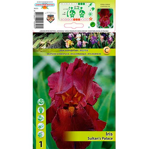 Iris Sultan's Palace interface.art photo 1 Iris Sultan's Palace interface.image 1 interface.art 76292