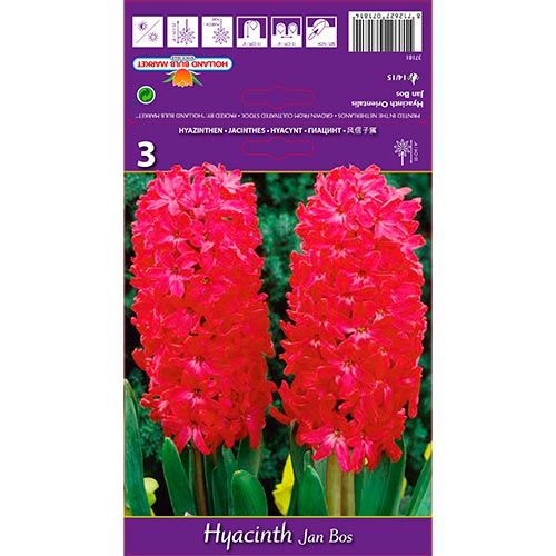 Jacinto Jan Bos interface.art photo 1 Jacinto Jan Bos interface.image 1 interface.art 67596