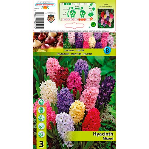 Jacinto Mixto interface.image 1 interface.art 67598